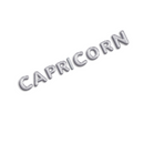 Silver Zodiac Balloon Banners