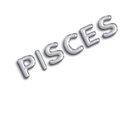 Silver Zodiac Balloon Banners