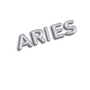 Silver Zodiac Balloon Banners